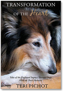 Book Cover: Transformation of the Heart by Teri Pichot